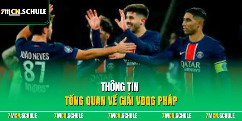 VĐQG Pháp - Giải Đấu Ligue 1 Hấp Dẫn Top Đầu Tại Châu Âu 7 Thông tin tổng quan về giải VĐQG Pháp