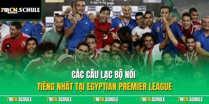 Egyptian Premier League (Ai Cập)| Giải Bóng Đá Số 1 Châu Phi 9 Các câu lạc bộ nổi tiếng nhất tại Egyptian Premier League